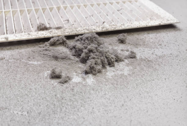 Best Air Duct Cleaning Near Me  in Pineville, LA