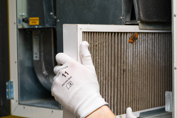 Affordable HVAC Duct Cleaning in LA