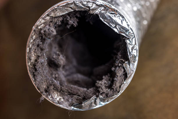 Best Best Air Duct Cleaning Company  in Pineville, LA